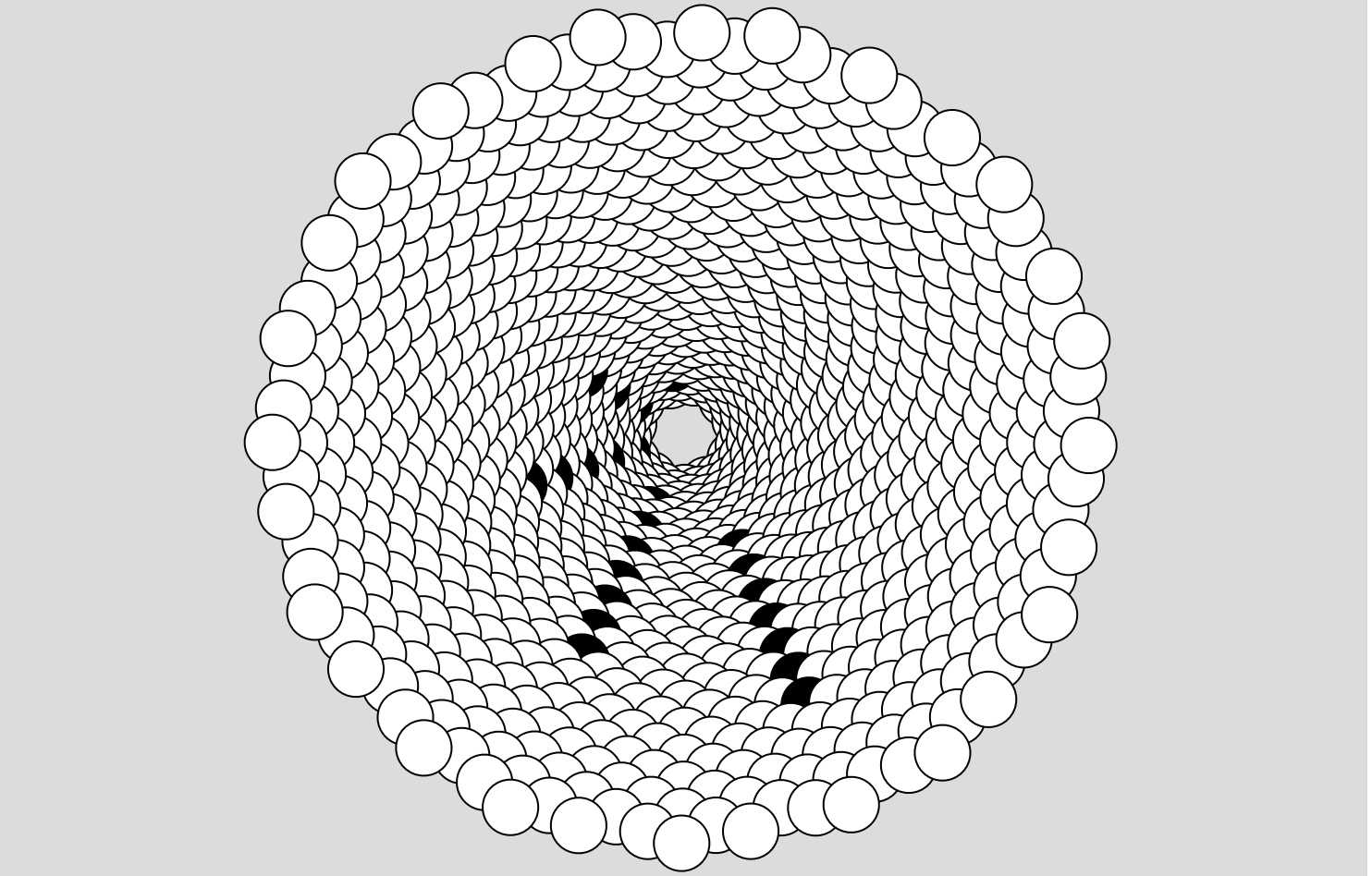 First p5.js random circles