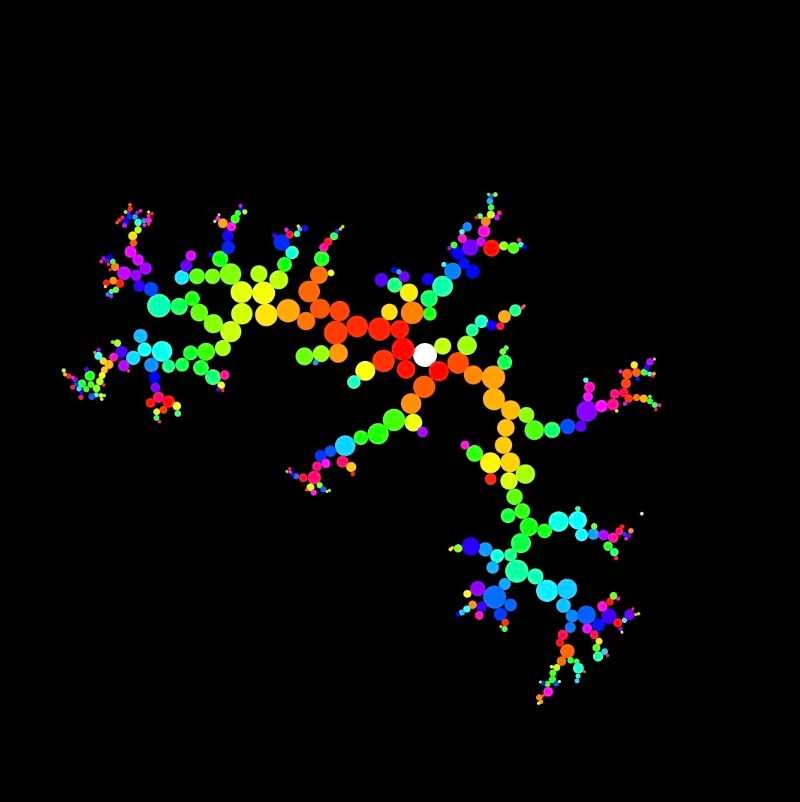 "Diffusion Limited Aggregation" code example